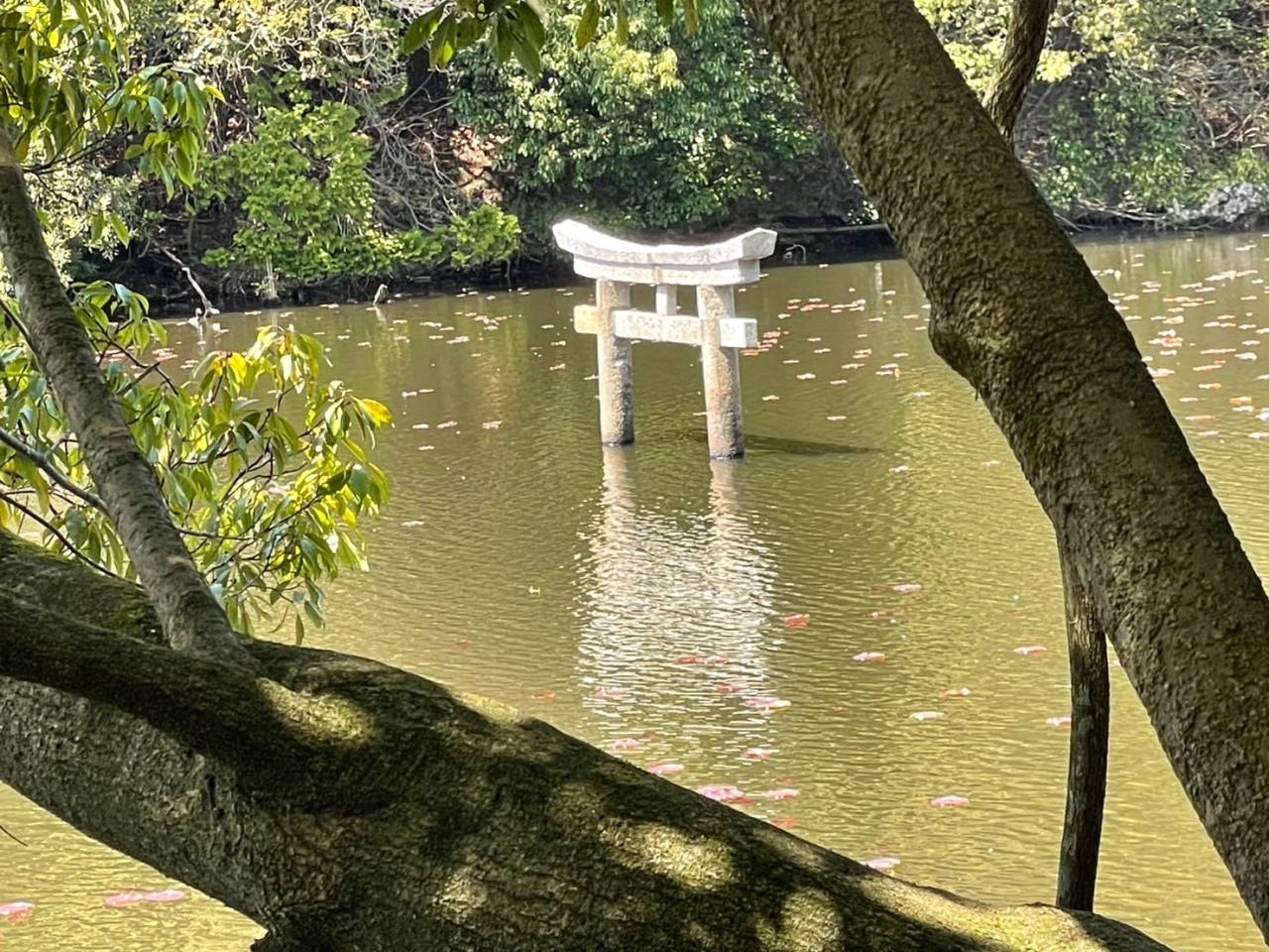 株式会社ホタコン