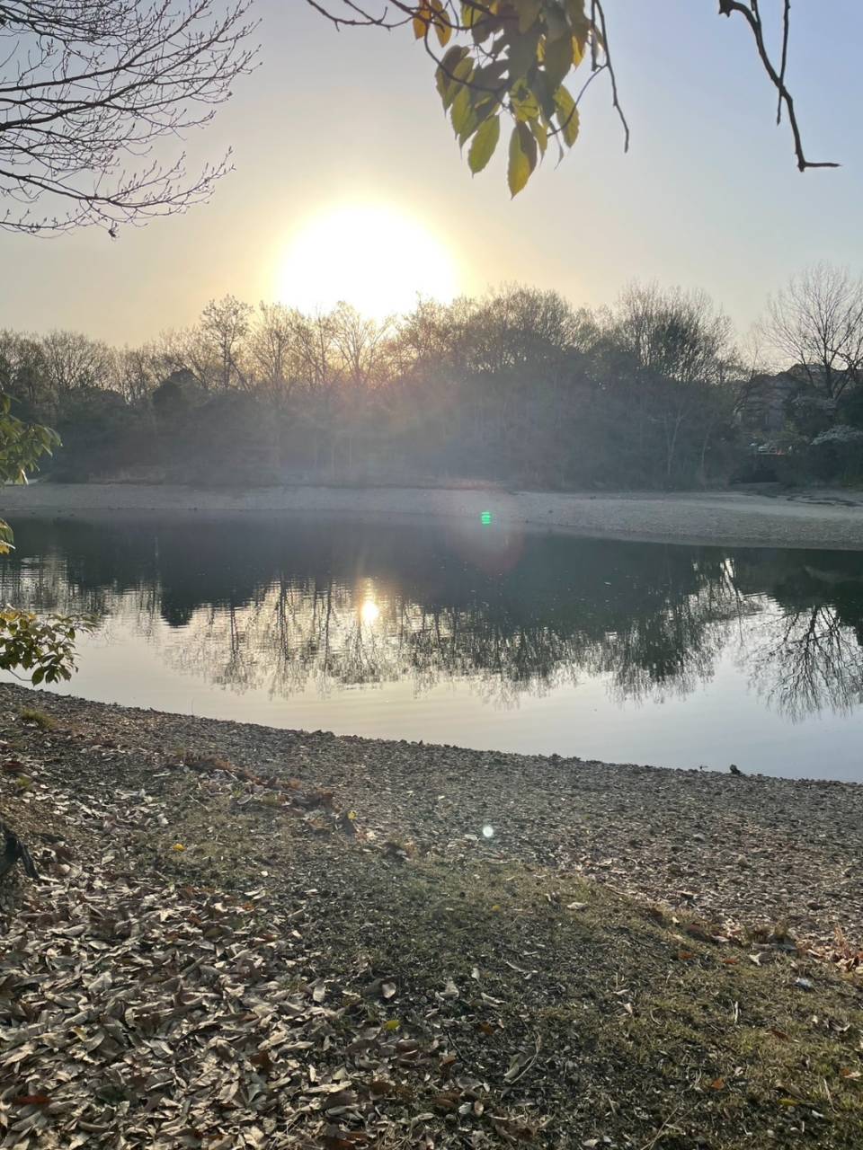 株式会社ホタコン